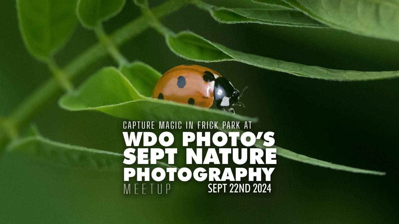 Pittsburgh September Nature Photography Meetup by WDO Photography