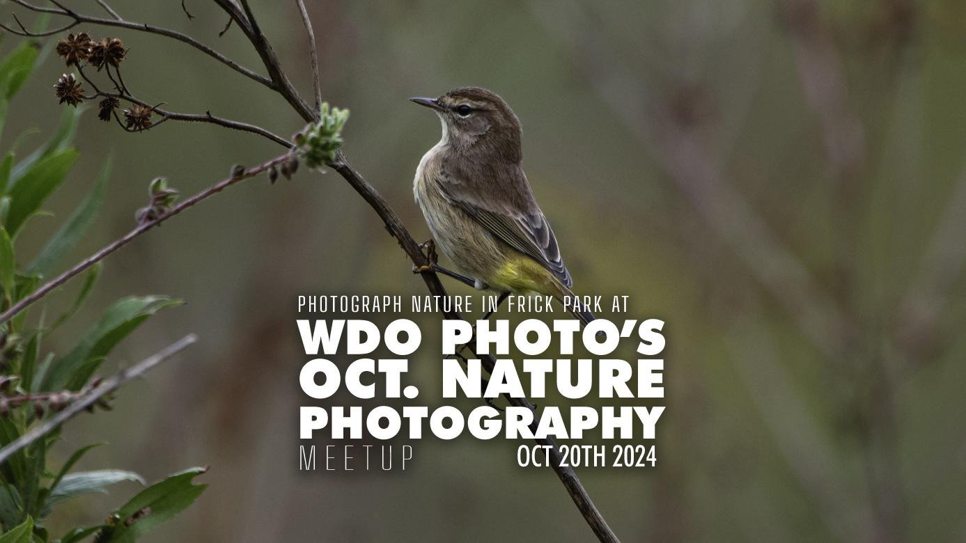 Pittsburgh Nature Photography Meetup