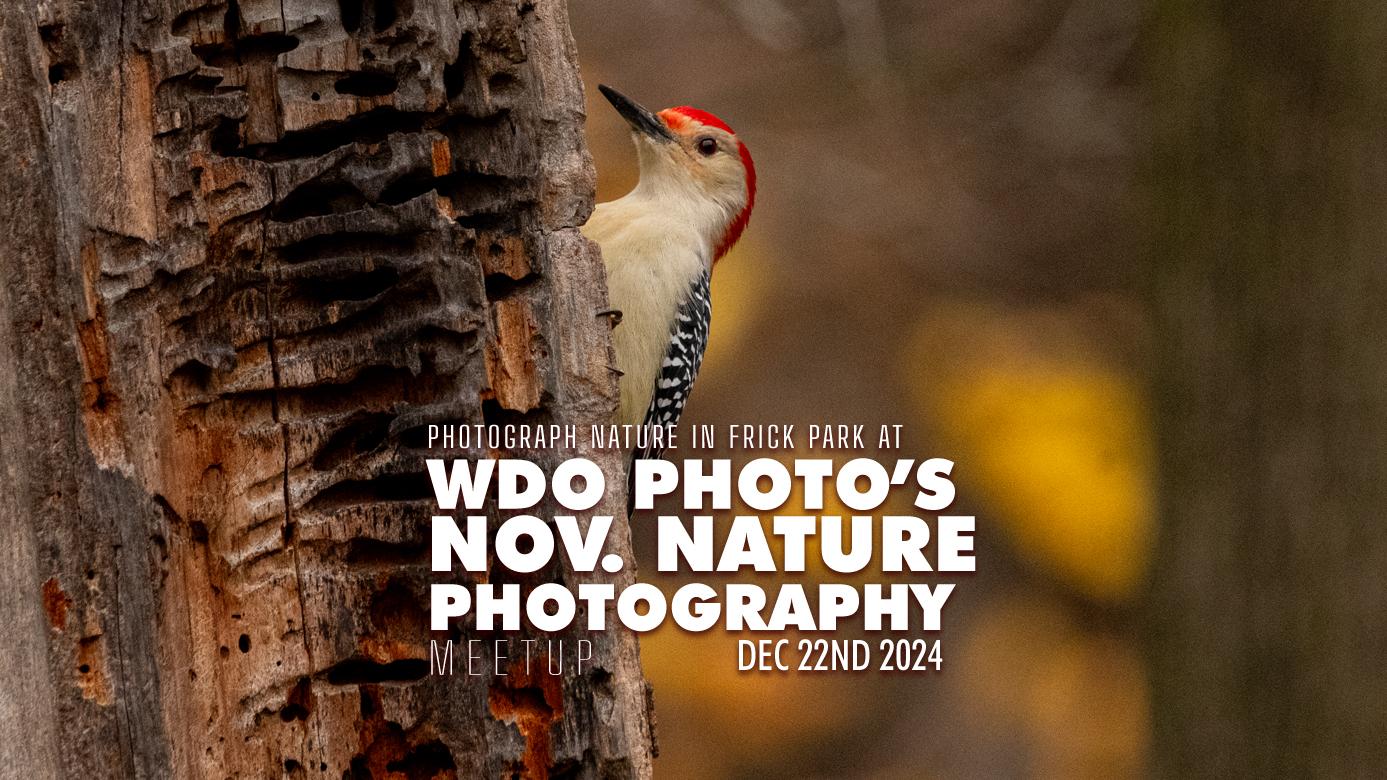 Pittsburgh Nature Photography Meetup – Dec 2024