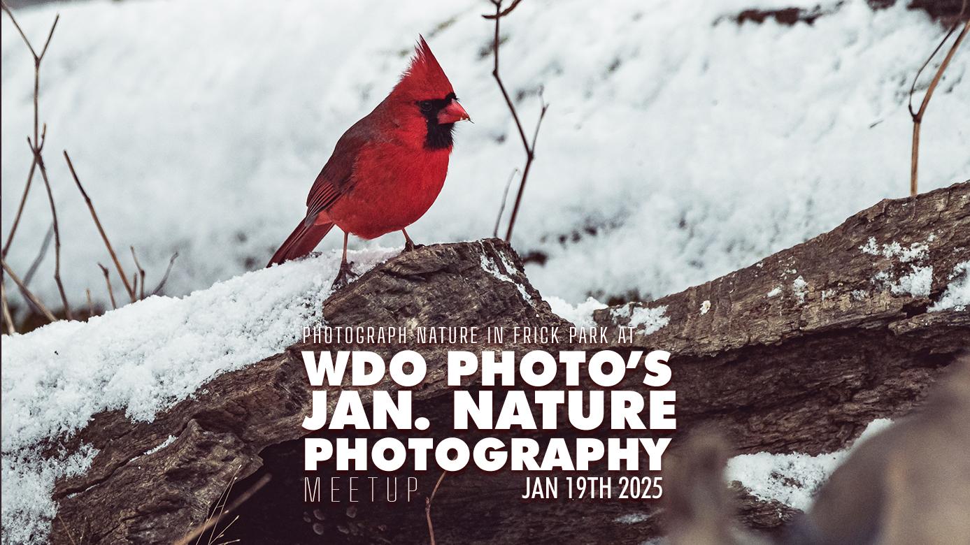 Nature Photography Meetup