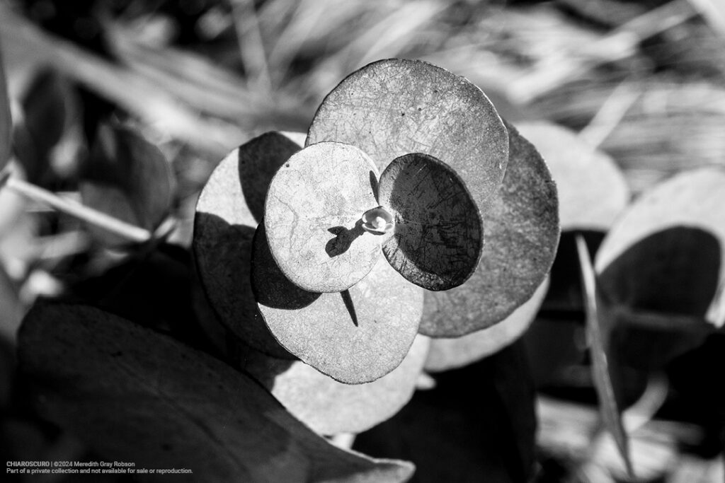 01_FR_Web_Photography_SMALL