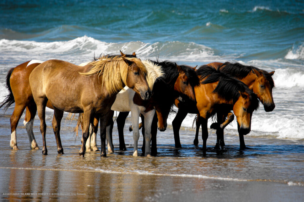 04_FR_Web_Photography_SMALL4